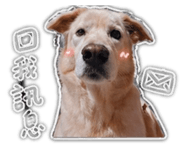 844441163