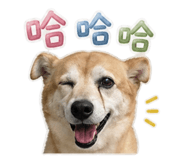 844441962