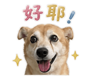 844441964