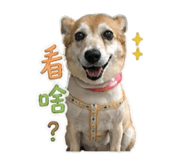 844441965