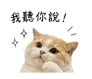 844442014