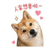844442290