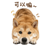 844442291