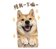 844442293