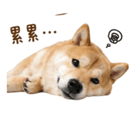 844442296
