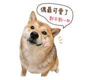 844442297