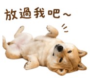 844442299