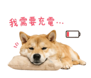 844442300