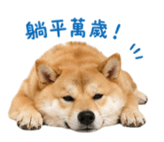 844442303
