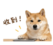844442304