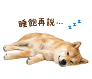 844442305