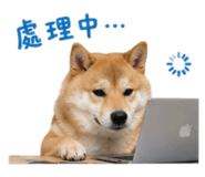844442307