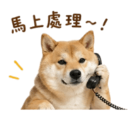 844442309