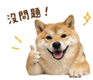 844442310