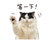 844442494