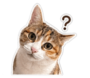 844442517