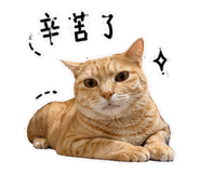 844442723