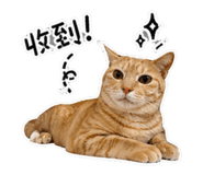 844442726