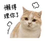 844442789