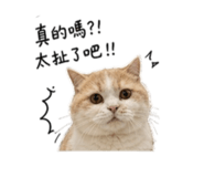 844442794