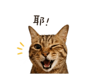 844443236