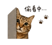 844443242