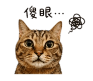 844443243