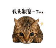 844443252