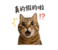 844443256