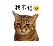 844443257