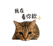 844443262