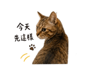 844443264