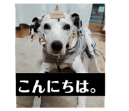 844443727