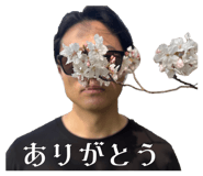 844443955