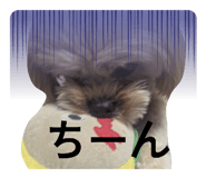 844443983