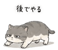 844444211