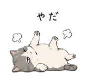 844444231