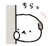 844444457