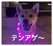 844444771