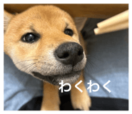 844444772