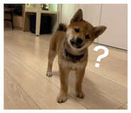 844444775