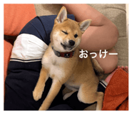844444781
