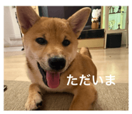 844444784