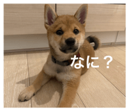 844444786