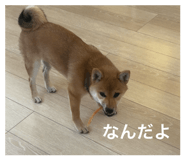 844444789
