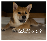 844444795