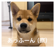 844444797