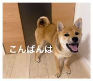 844444800