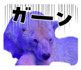 844445241