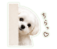 844445310